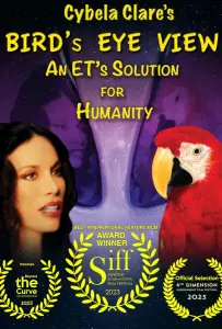 С высоты птичьего полёта: инопланетное решение для человечества (фильм 2020)